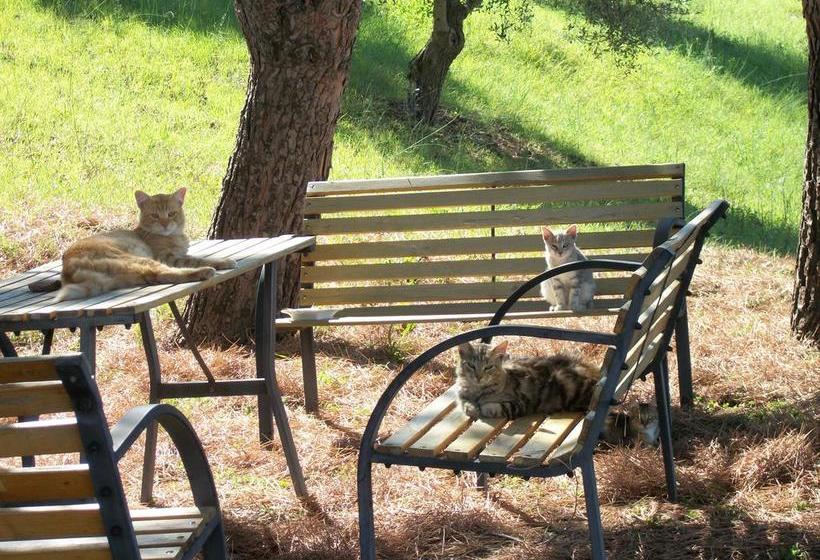 Le Poiane B&b  | San Piero Patti | Messine | Italie 19