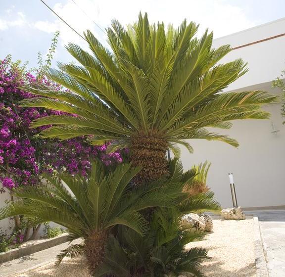 B&b Virò  | Campi Salentina | Lecce | Italia 13