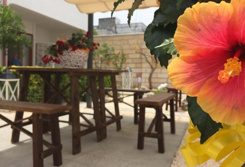 B&b Virò  | Campi Salentina | Lecce | Italia 9