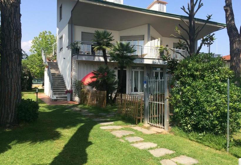 B&b Profumo Di Mare  | Marina di Massa | Massa Carrara | Italia 1