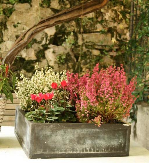 Bed and Breakfast A Casanostra  | Bergamo | Bergamo | Italia 12