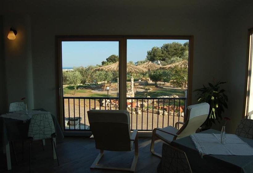 B&b Le Cicale  | Vieste | Foggia | Italia 11