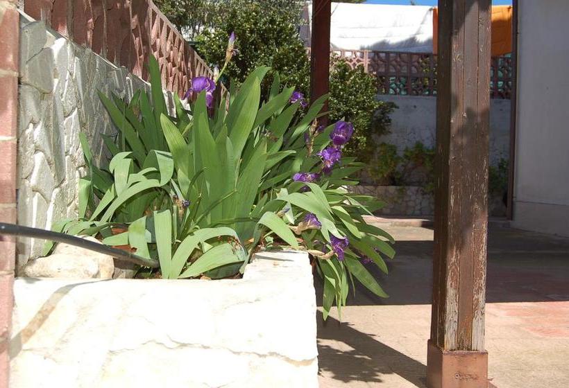 B&b Le Cicale  | Vieste | Foggia | Italia 15