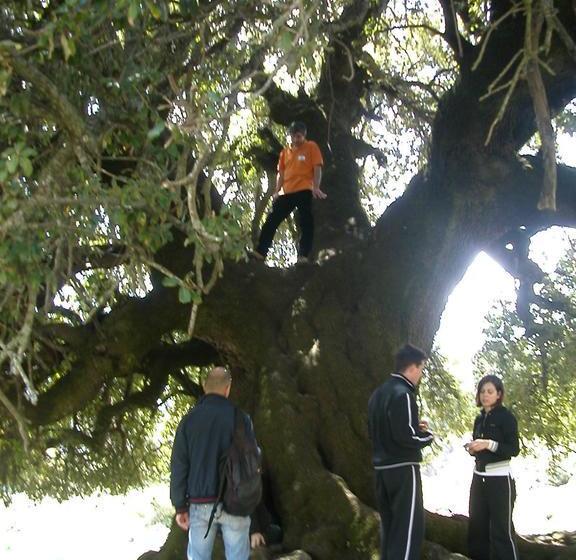 B&b Supramonte  | Orgosolo | Sardegna | Italia 16