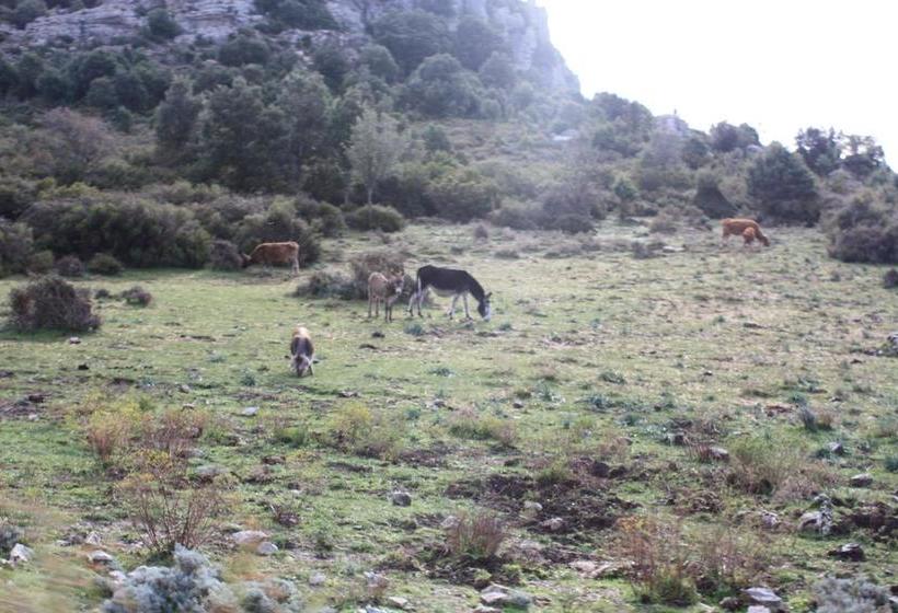 B&b Supramonte  | Orgosolo | Sardegna | Italia 4