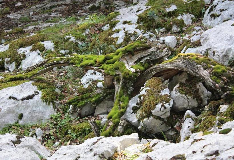 B&b Supramonte  | Orgosolo | Sardegna | Italia 5