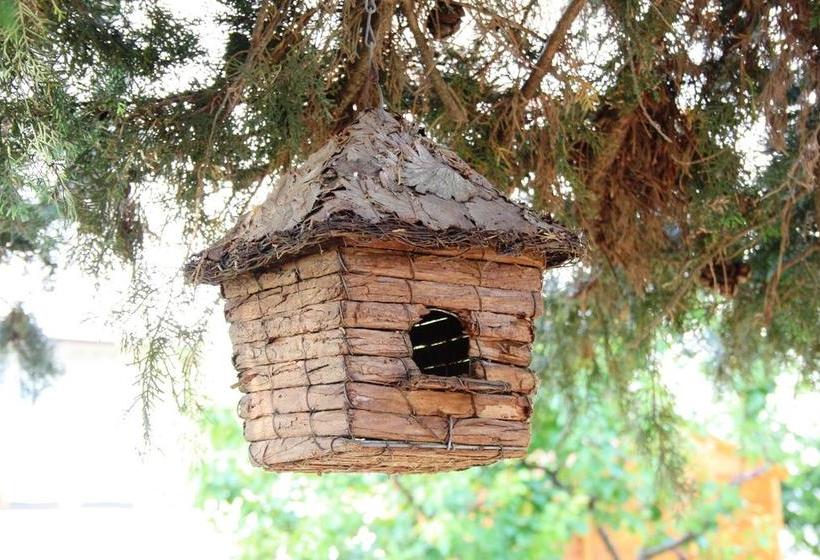 B&b Verdegiada  | Brindisi | Brindisi | Italia 15