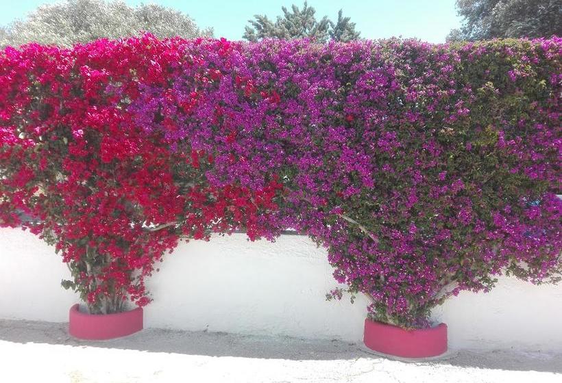 B&b Verdegiada  | Brindisi | Brindisi | Italia 5