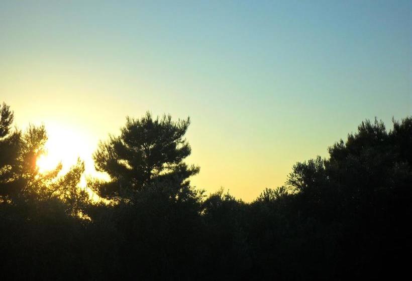 Osteria B&b Il Rifugio  | Peschici | Foggia | Italie 13