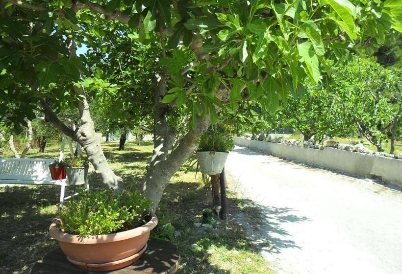 Osteria B&b Il Rifugio  | Peschici | Foggia | Italie 2