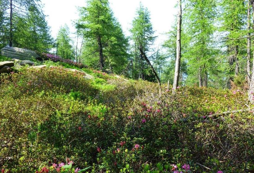 B&b Al Molino  | Valgioie | Torino | Italia 2