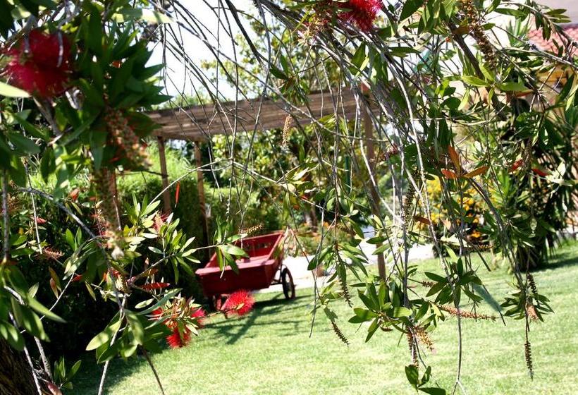 Bed and Breakfast Villa Brunella  | Agropoli | Salerno | Italia 13