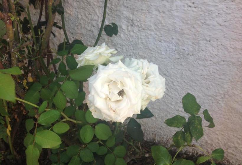 B&b Villa Isa  | Drapia | Vibo Valentia | Italia 2