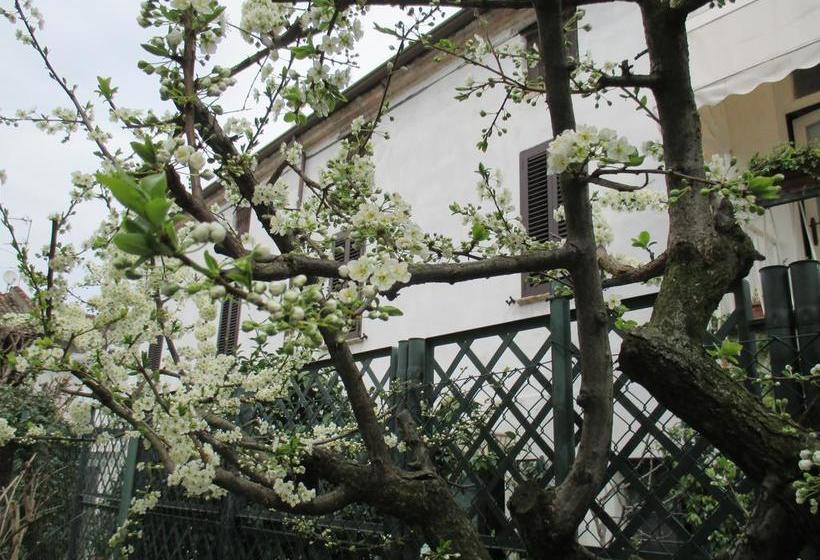 Dimora & Arte B&b  | Canneto Sull'Oglio | Mantova | Italia 2