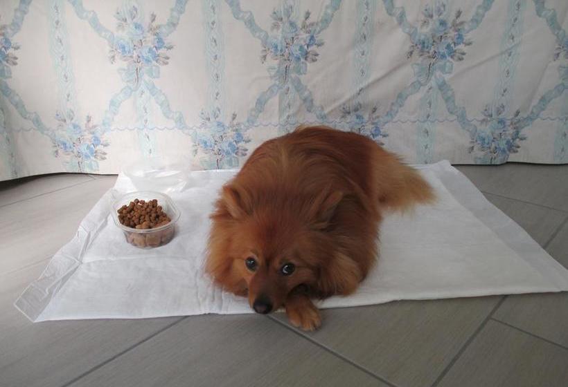 Dimora & Arte B&b  | Canneto Sull'Oglio | Mantova | Italia 7