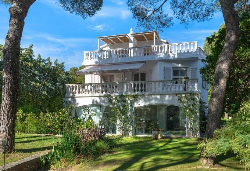 Bed and Breakfast Mediterranea Luxury House Quercianella