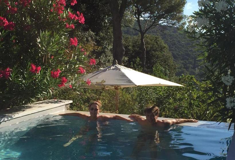 Bed & Breakfast Mediterranea Luxury House  | Quercianella | Livorno | Italien 1