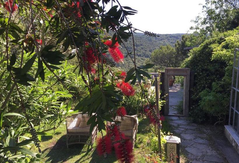 Bed & Breakfast Mediterranea Luxury House  | Quercianella | Livorno | Italien 3