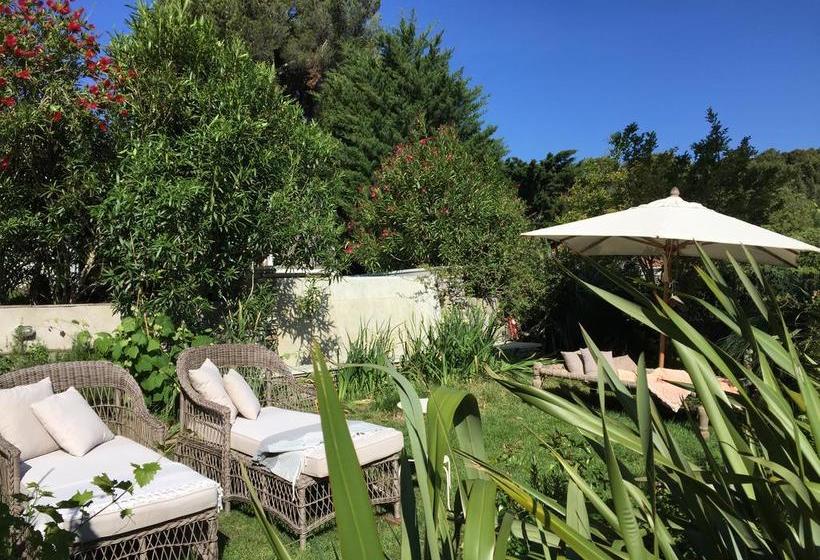 Bed & Breakfast Mediterranea Luxury House  | Quercianella | Livorno | Italien 6