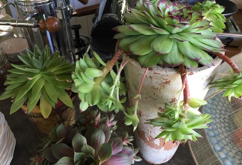 Bed & Breakfast Mediterranea Luxury House  | Quercianella | Livorno | Italien 9