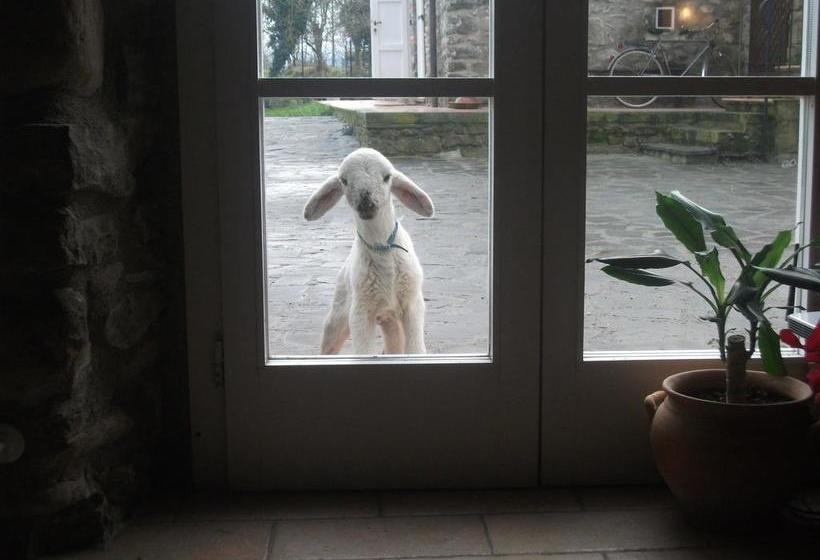 Bed and Breakfast Locanda Di Campagna