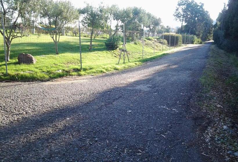 Bed and Breakfast Al Sole Di Pula  | Pula | Sardegna | Italia 18