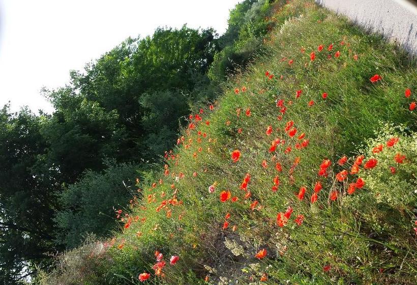 B&b La Fattoria  | Pastrengo | Verona | Italia 2