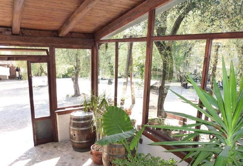 Bed and Breakfast Agriturismo Macchiapiede  | Sala Consilina | Salerno | Italia 6