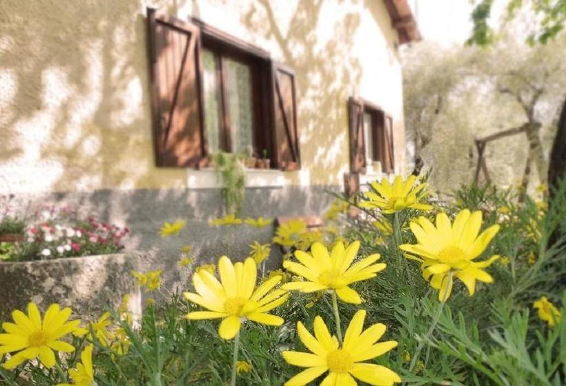 Bed and Breakfast Agriturismo Macchiapiede  | Sala Consilina | Salerno | Italia 8