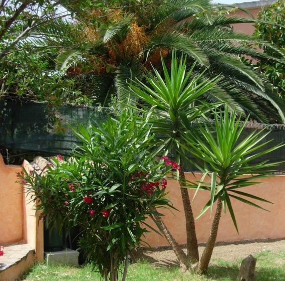 B&b Meta Mito  | Budoni | Sardegna | Italia 17