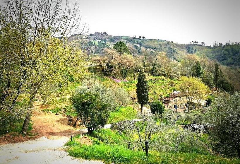 Bed and Breakfast Tananei  | Marliana | Pistoia | Italia 1