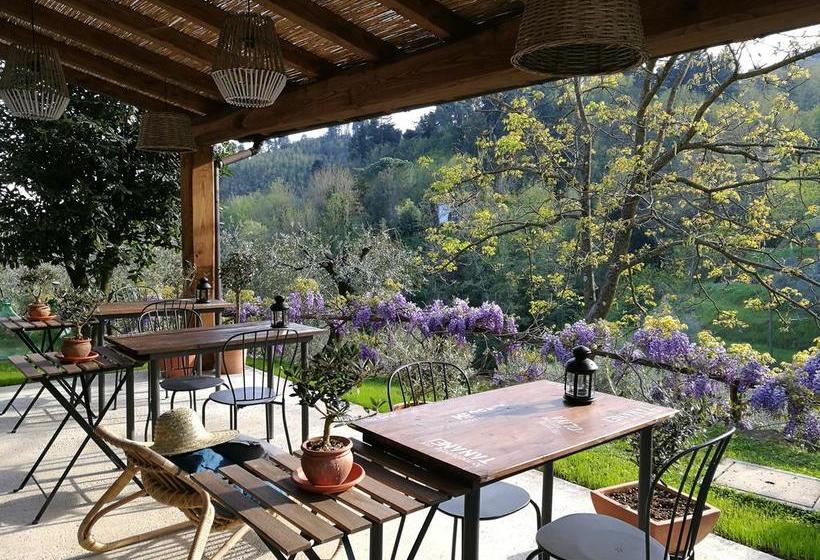 Bed and Breakfast Tananei  | Marliana | Pistoia | Italia 6