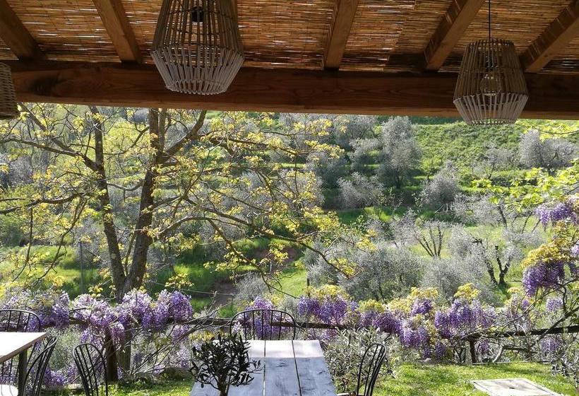 Bed and Breakfast Tananei  | Marliana | Pistoia | Italia 7