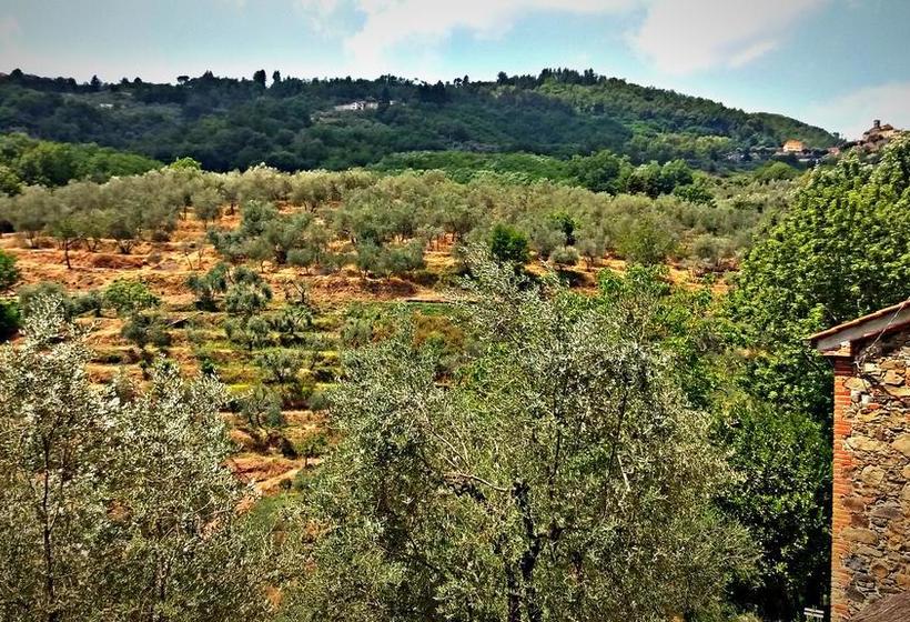 Bed and Breakfast Tananei  | Marliana | Pistoia | Italia 8