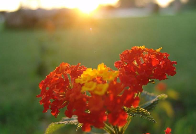 Bed and Breakfast Tenuta Nucci  | Nardo | Lecce | Italia 11