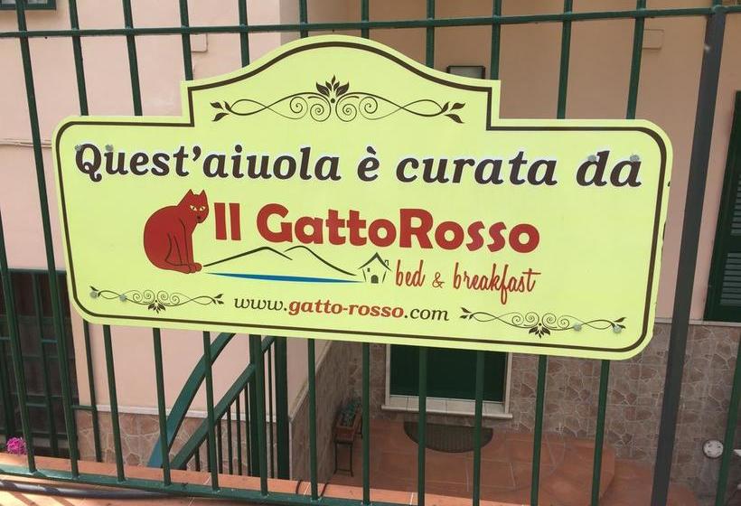 B&b Il Gatto Rosso  | Trecase | Napoli | Italia 1