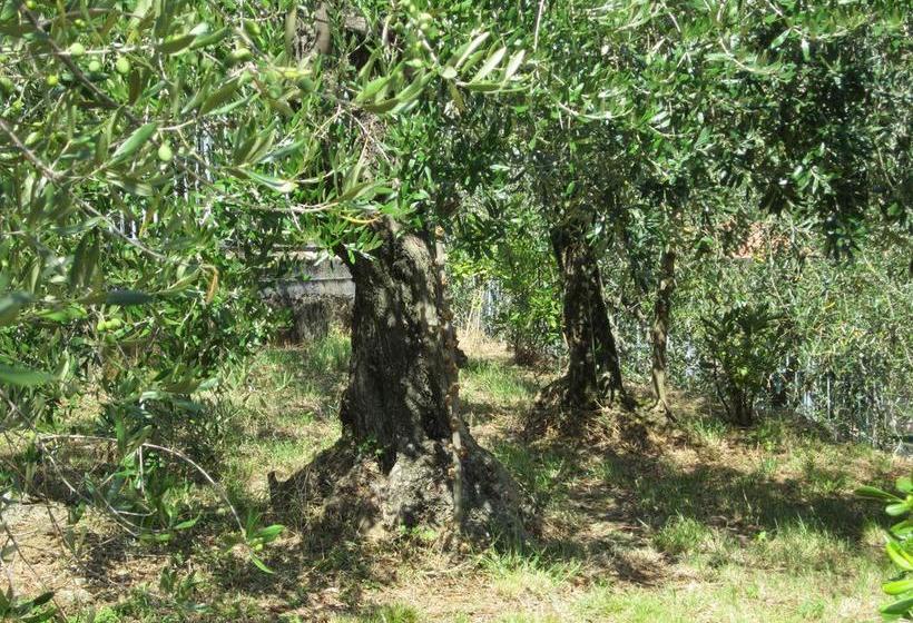 B&b Mare E Monti  | La Spezia | La Spezia | Italia 10