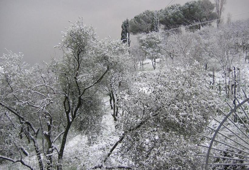 B&b Mare E Monti  | La Spezia | La Spezia | Italia 11