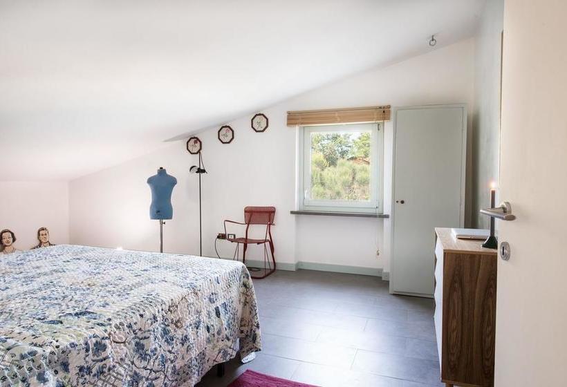 B&b Alle Cime  | Perugia | Perugia | Italia 7