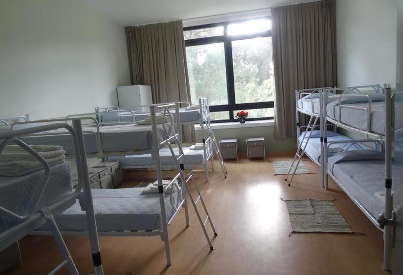 Ostello Sportnow Casa Per Ferie  | Milano Marittima | Ravenna | Italia 6