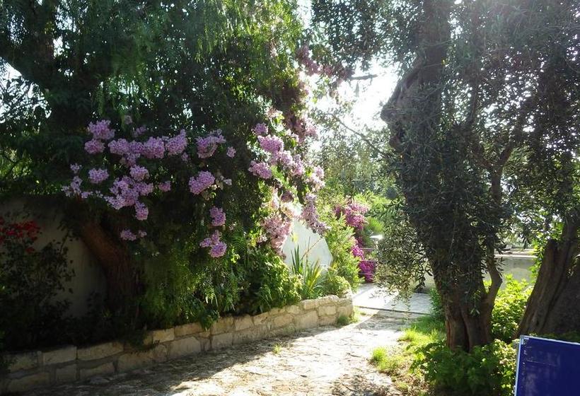 B&b Masseria Liberatore  | Mattinata | Foggia | Italia 11