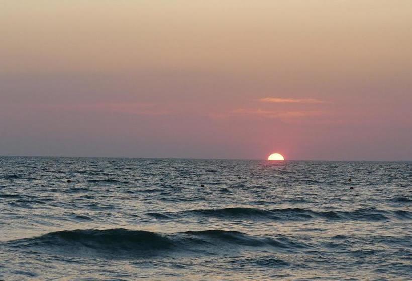 Bed and Breakfast La Rosa Del Deserto  | Scicli | Ragusa | Italia 20