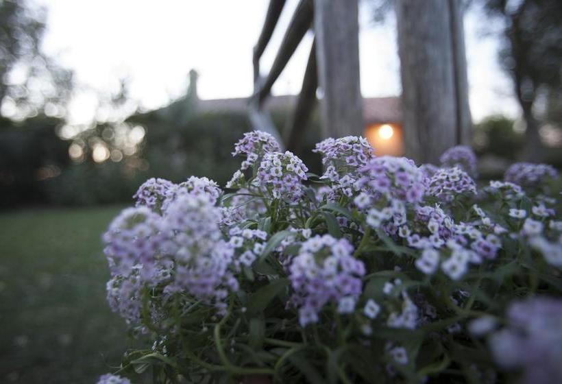 Le Palazze B&b  | Chiusi | Siena | Italia 12