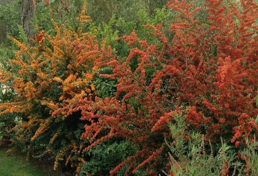 Le Palazze B&b  | Chiusi | Siena | Italia 17