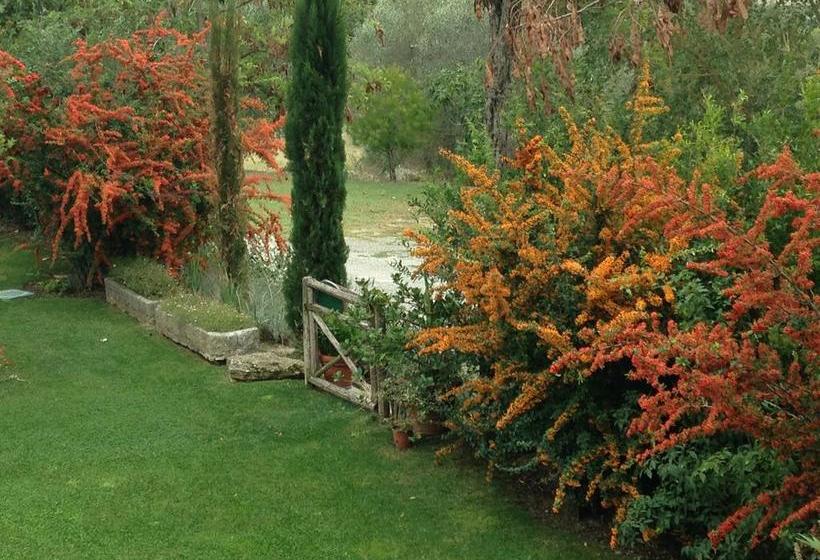 Le Palazze B&b  | Chiusi | Siena | Italia 19