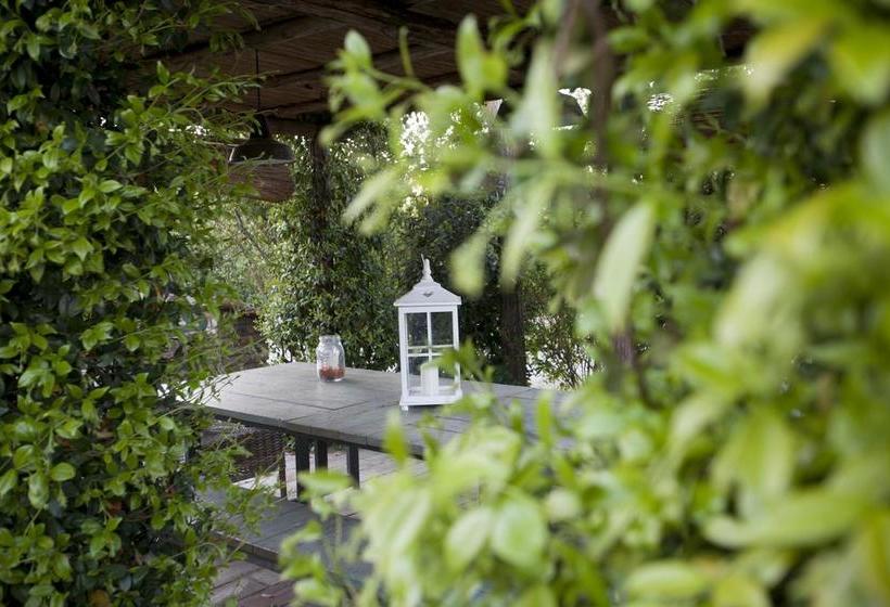 Le Palazze B&b  | Chiusi | Siena | Italia 9