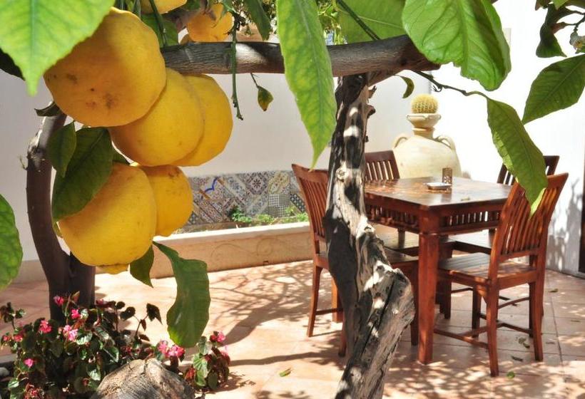 Bed and Breakfast Le Margherite  | San Vito lo Capo | Trapani | Italia 11