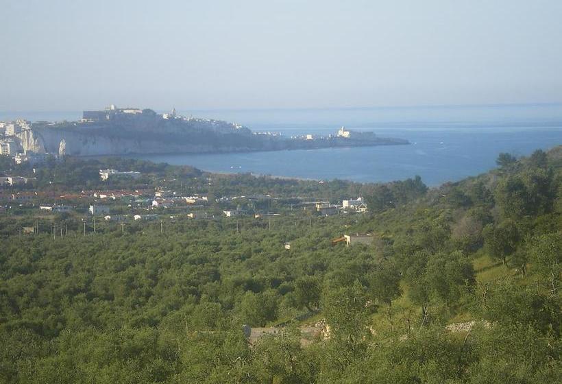 Azienda Agricola B&b Macchiaria  | Vieste | Foggia | Italia 18