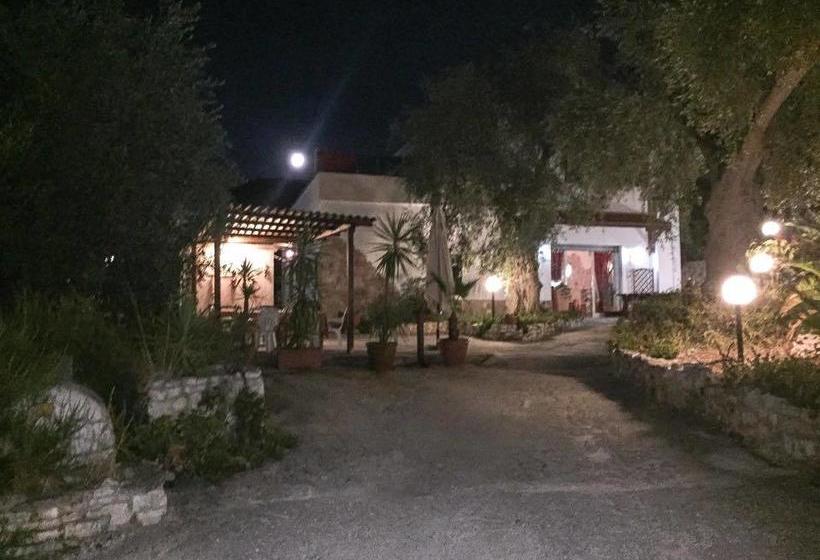 Azienda Agricola B&b Macchiaria  | Vieste | Foggia | Italia 3