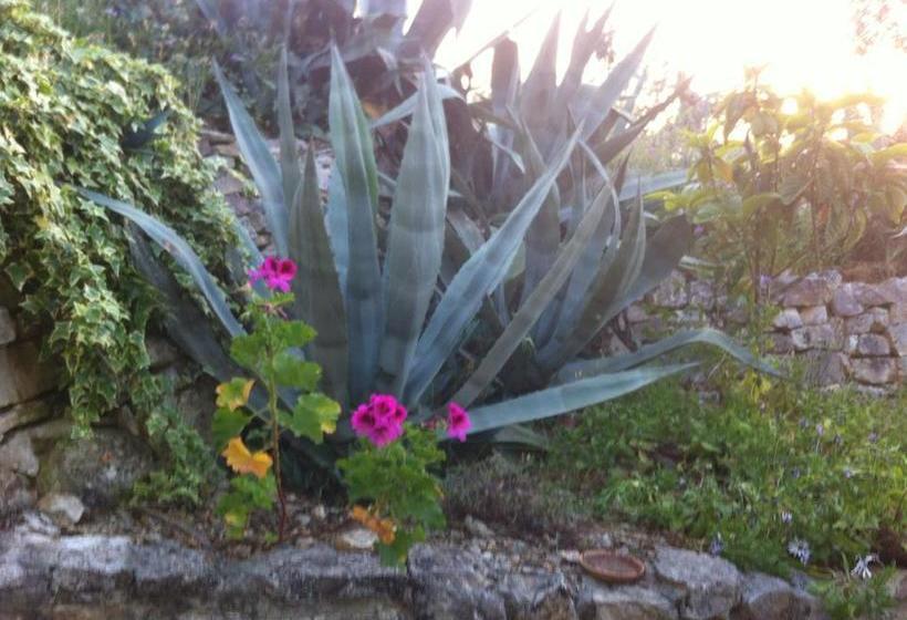 Azienda Agricola B&b Macchiaria  | Vieste | Foggia | Italia 4